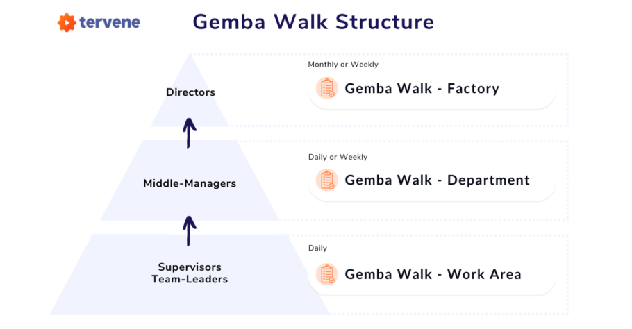 A pyramid diagram for Tervene showing three management levels: Directors, Middle-Managers, and Supervisors/Team-Leaders, with their Gemba Walk frequency ranging from daily to monthly, targeting Work Area to Factory.